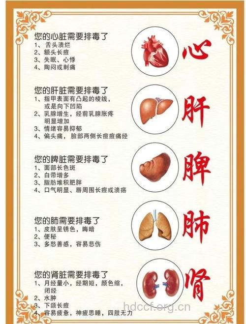上班族五脏应如何养生？