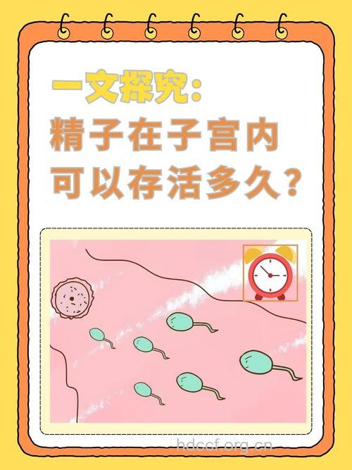 男性精子过多女性易不孕