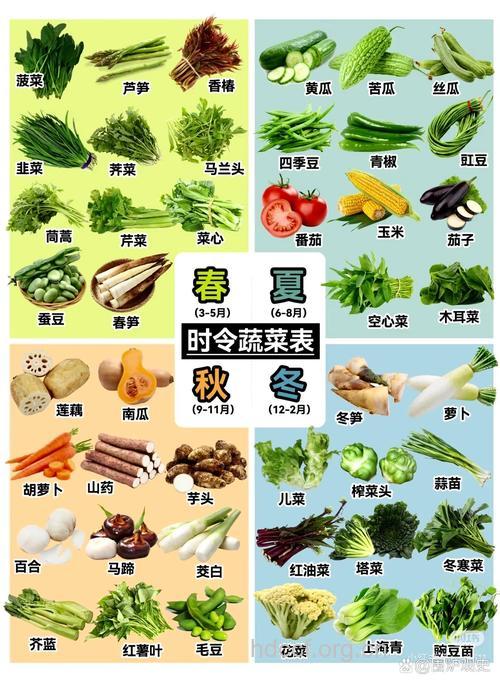 不同季节选择不同的蔬菜