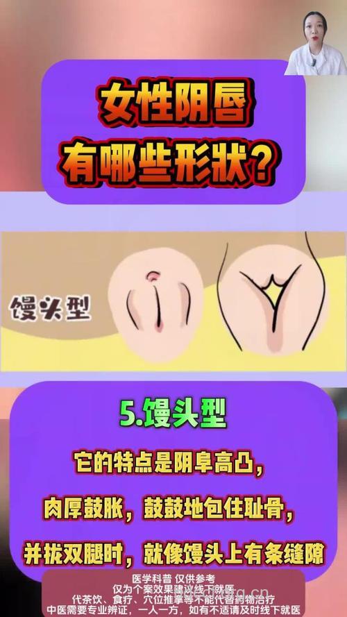 最流行的十大女性私处整形