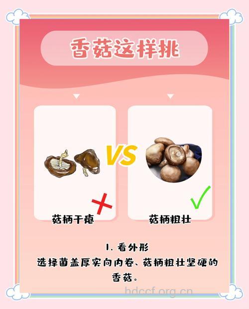 教你怎么挑选香菇