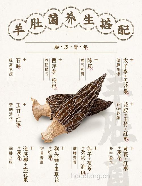 菌类珍品的食疗功效