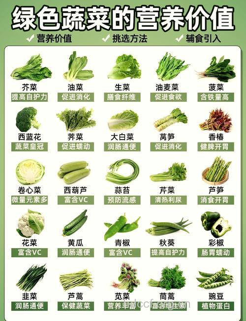 绿叶蔬菜营养排行榜