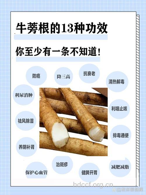 牛蒡对人体有什么好处呢?