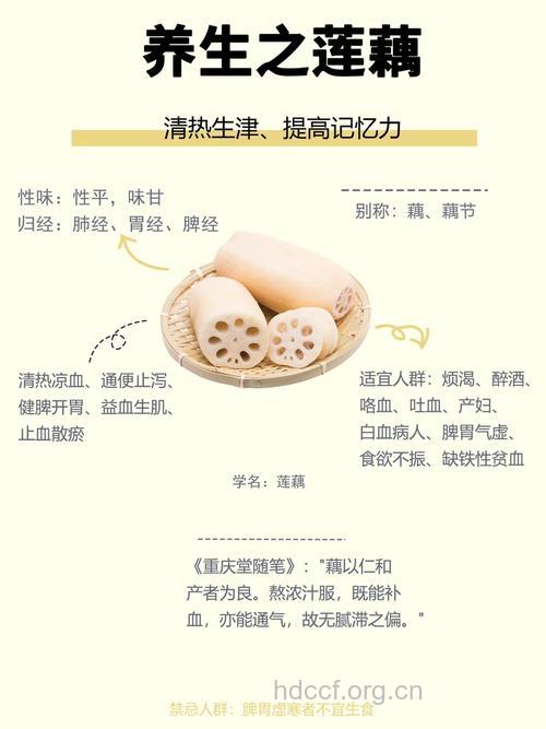 莲藕的功效与作用