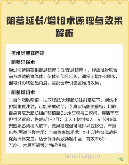 男性阴茎延长增粗术的整形原理