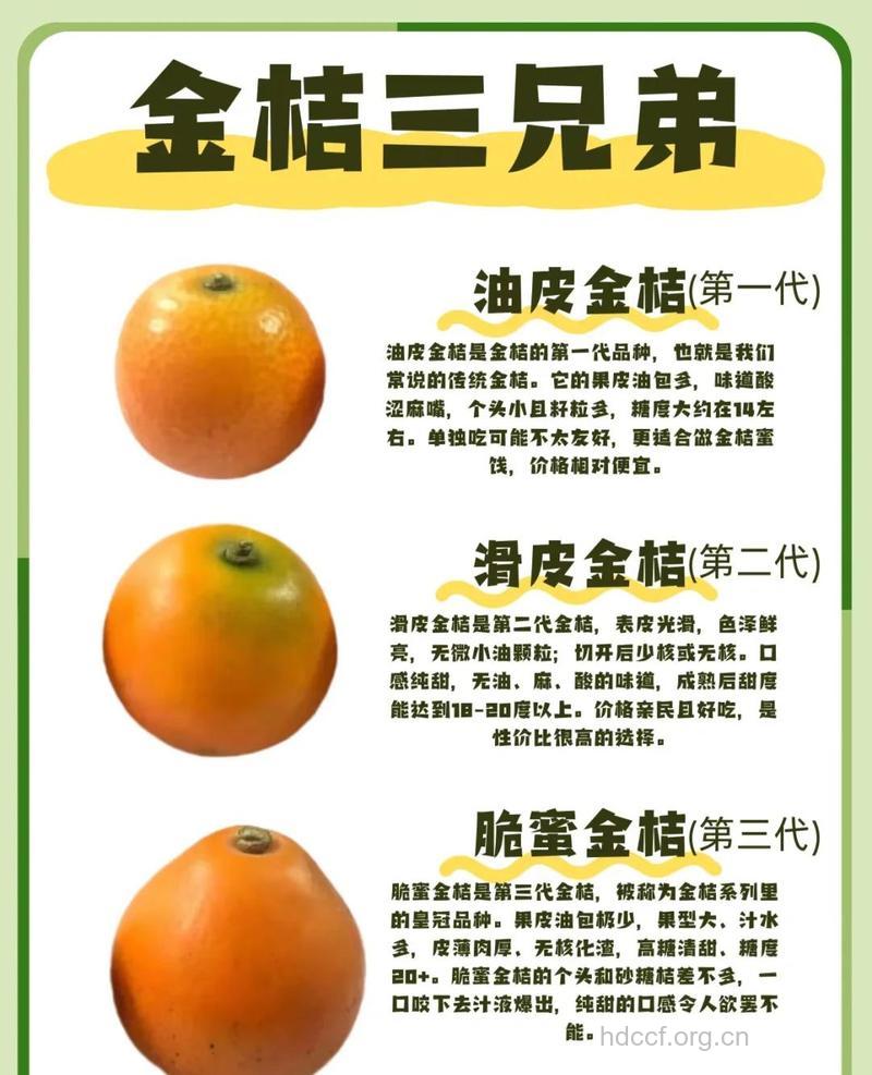 柑橘类水果各有什么好处?
