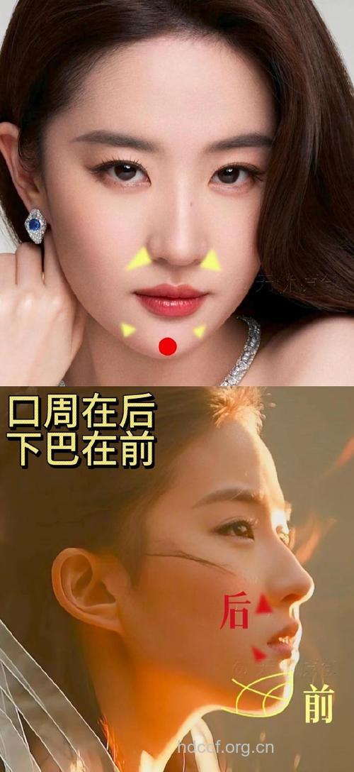 明星也爱的下巴手术揭秘