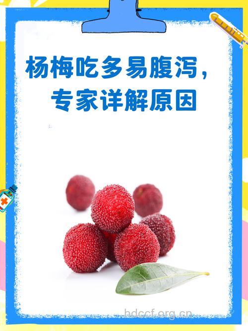 吃杨梅为什么会腹泻