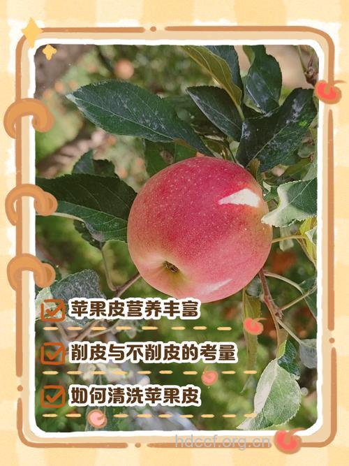 不削皮吃苹果好吗?