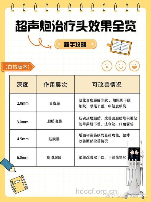 适合秋季做的整形项目