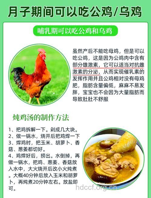 怎样吃公鸡母鸡更有营养