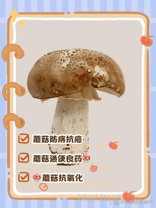 吃蘑菇对骨骼有什么好处
