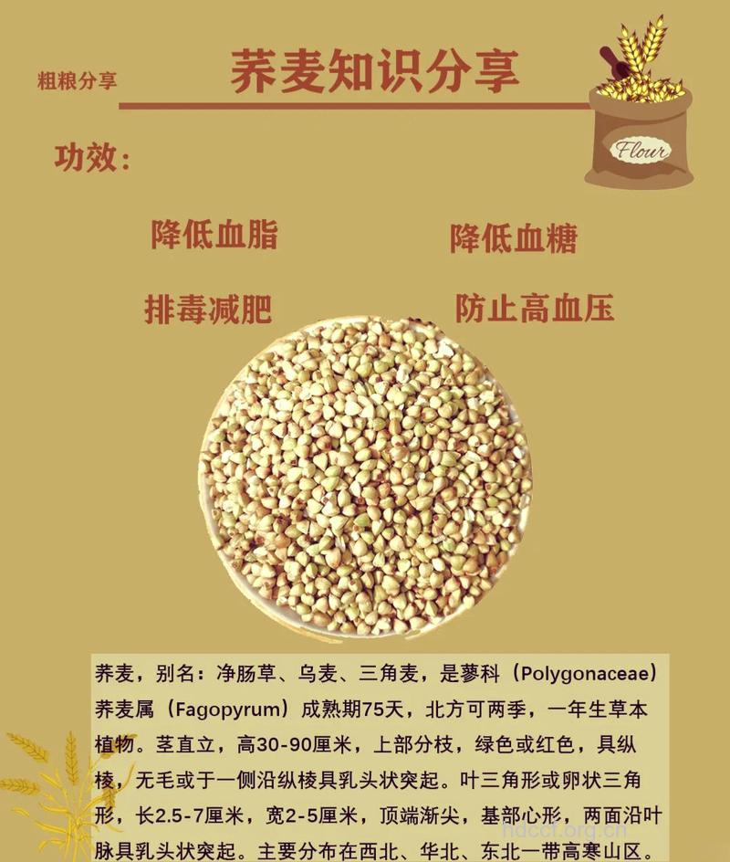 荞麦的功效与作用