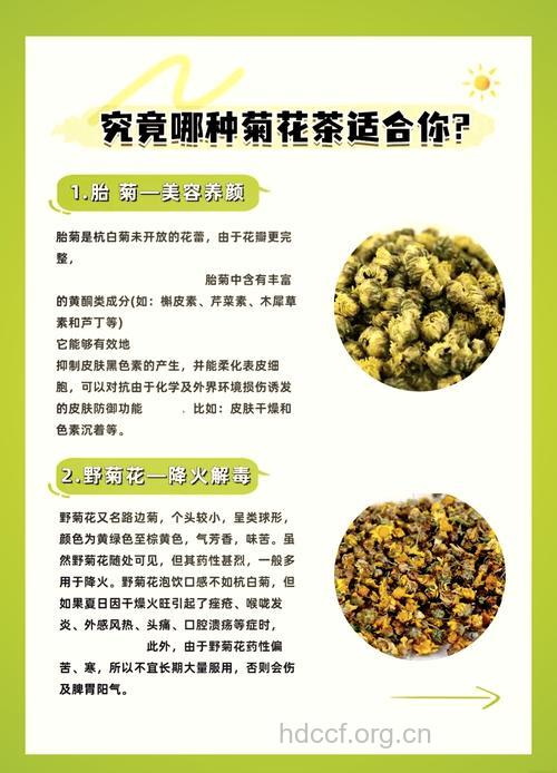 菊花茶有7大功效 这5类人千万别喝