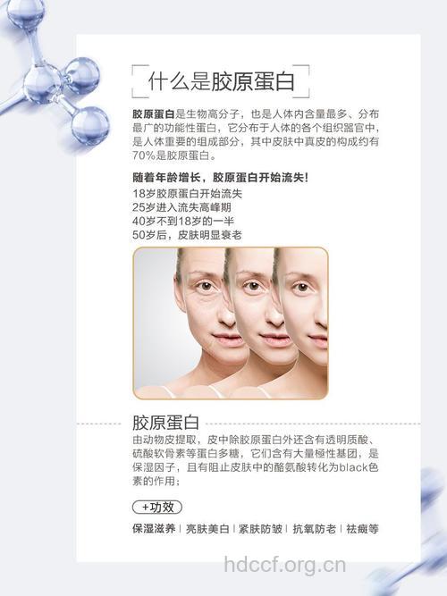 教你怎样正确辨别胶原蛋白
