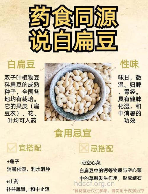 白扁豆的功效与作用