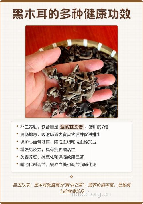 黑木耳畅顺心血管健康