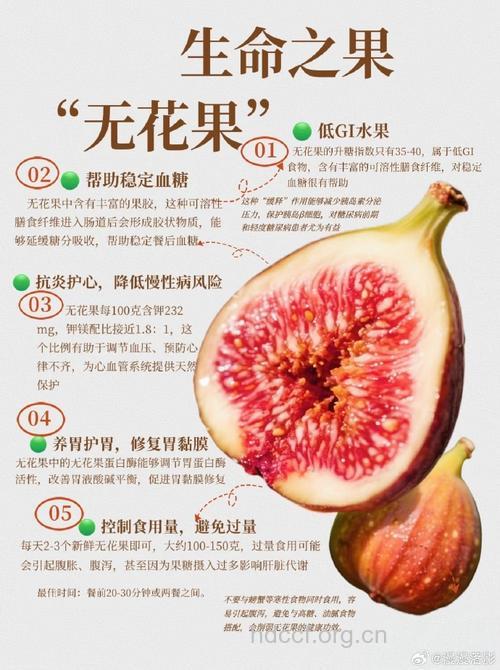 无花果的营养价值