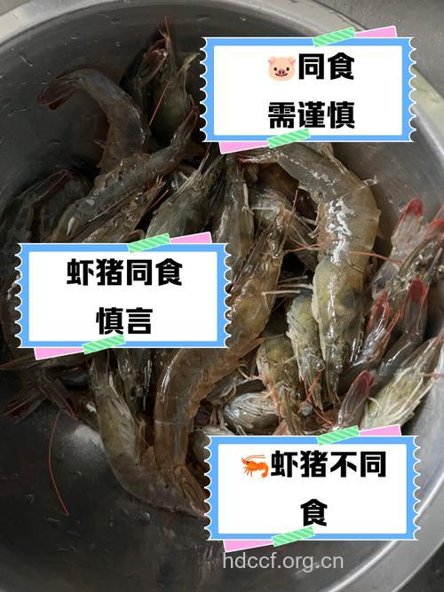 猪肉切忌与虾同吃
