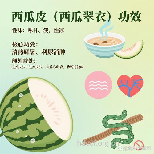 西瓜皮用处广 利尿消暑和壮阳
