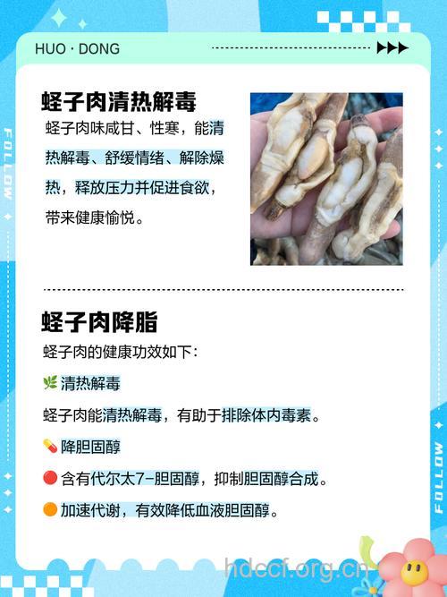 蛏肉的功效与作用