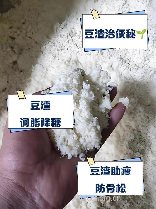 女性常吃豆渣有什么好处