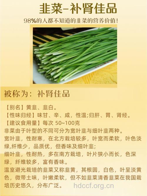 韭菜的功效与作用