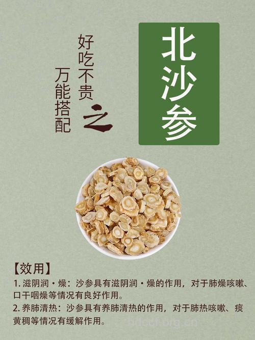 北沙参的功效与作用
