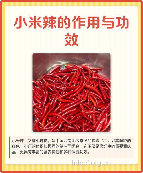 小米辣和黄辣椒的营养价值