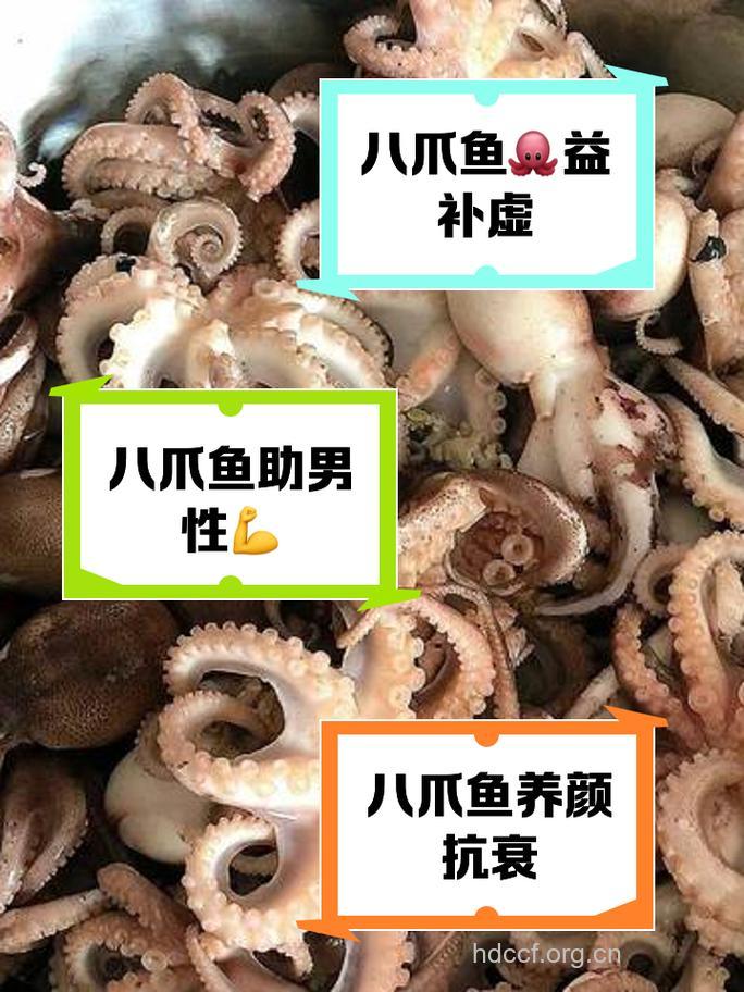 章鱼的功效与作用