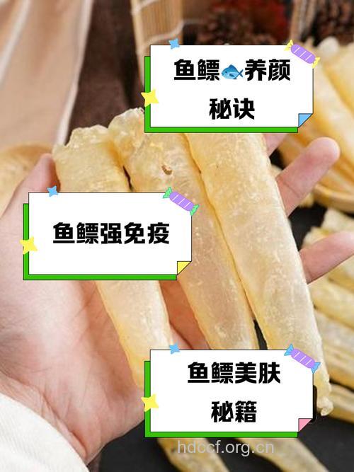 鱼鳔的功效与作用