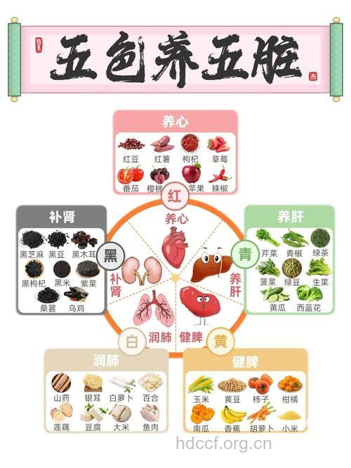 五脏怎么养 细说最养五脏的食物