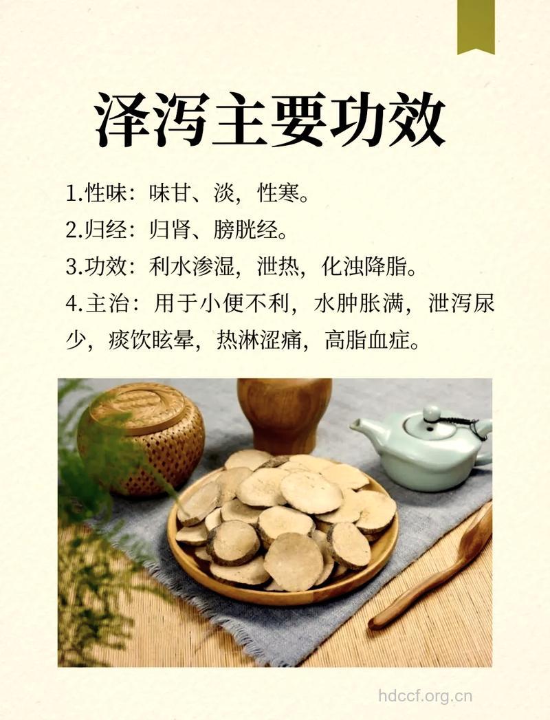 泽泻的功效与作用