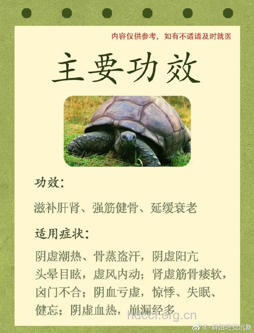 龟板的功效与作用