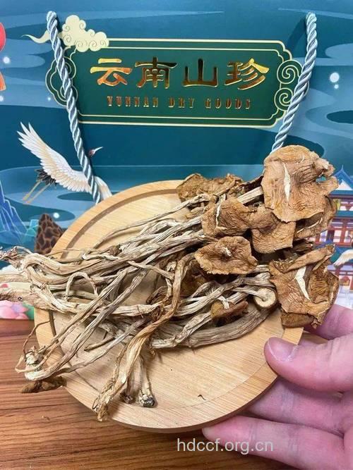 8种常见野生菌营养价值高