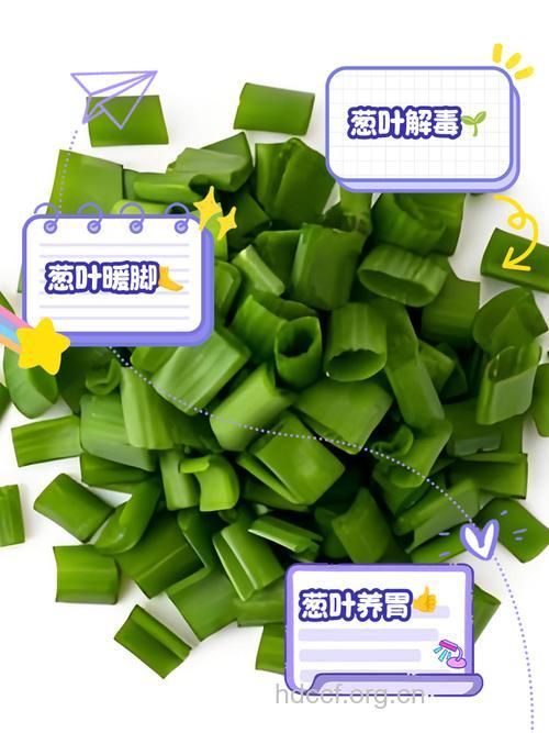 葱叶更有营养不要扔!