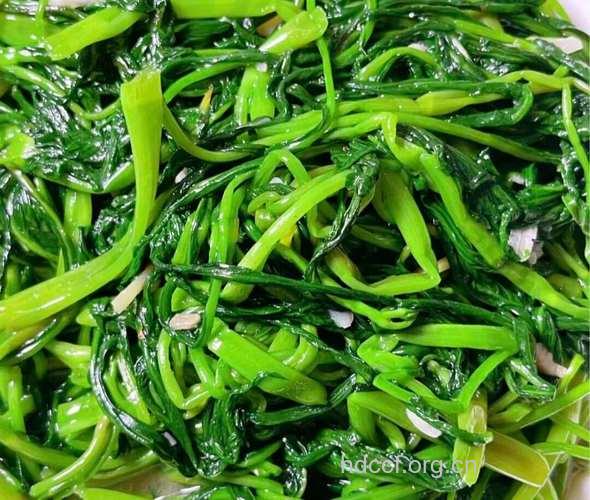 排毒蔬菜有哪些?