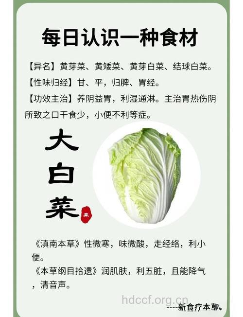 哪些蔬菜可以抗衰老呢?