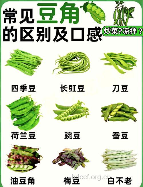 豆类蔬菜要怎么选择?