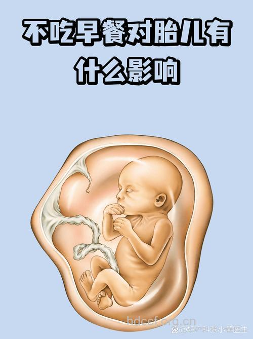 不吃早餐易得6种疾病 如何科学地吃早餐