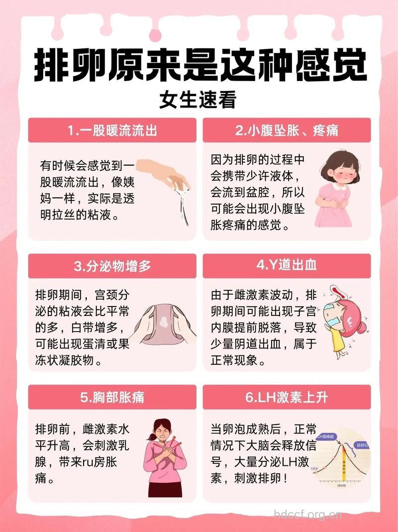 女性排卵有哪些感觉 四种现象别忽视