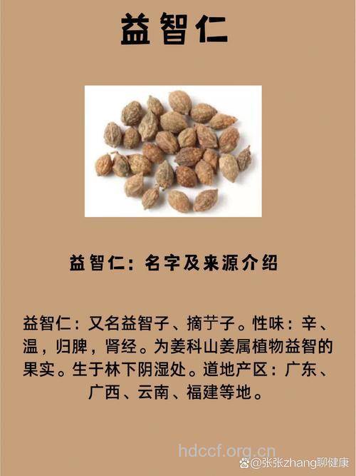 益智仁的功效与作用