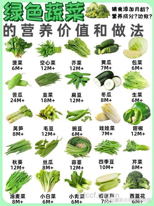蔬菜最营养的部分
