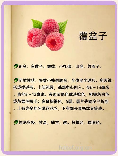 覆盆子的功效与作用
