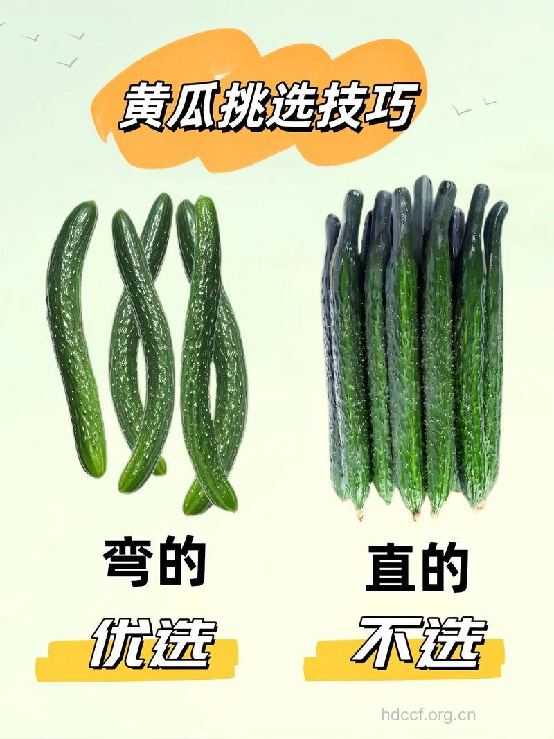 蔬菜的挑选技巧