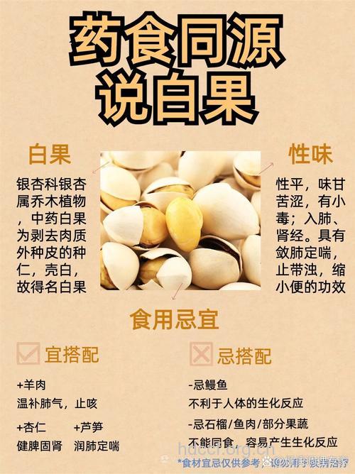 白果的功效与作用