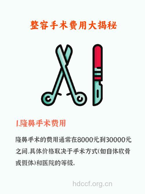 整形手术你准备好了吗