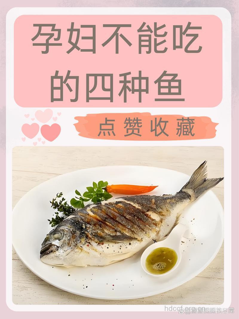 准妈妈饮食禁忌 这四种鱼别吃