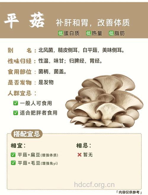 吃蘑菇有利于骨骼健康